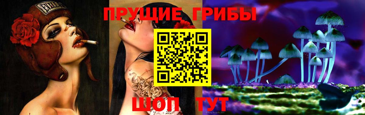 Псилоцибиновые грибы ЛСД  Вход с VPN  Сертолово  Галлюциногенные грибы Psilocybe 
